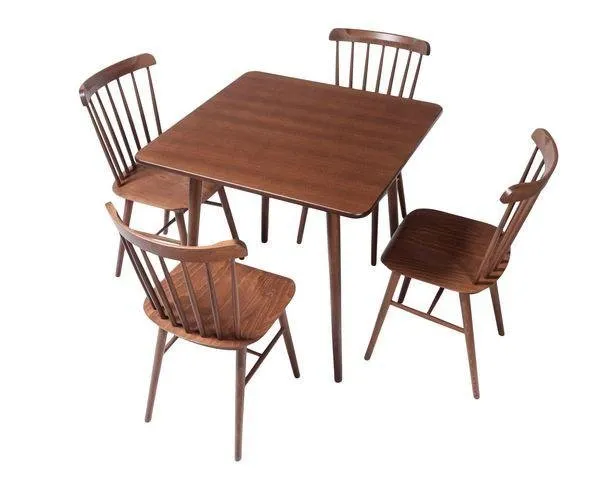 Ironica Dining Table by Ton